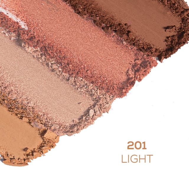 CHAMBOR VISAGE CONTOUR STUDIO LIGHT 201