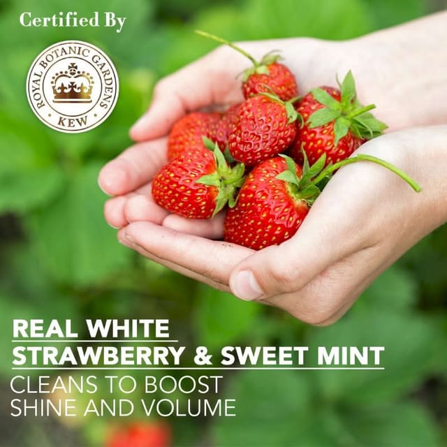 HERBAL ESSENCE CONDITIONER STRAWBERRY &SWEETMINT 240ML